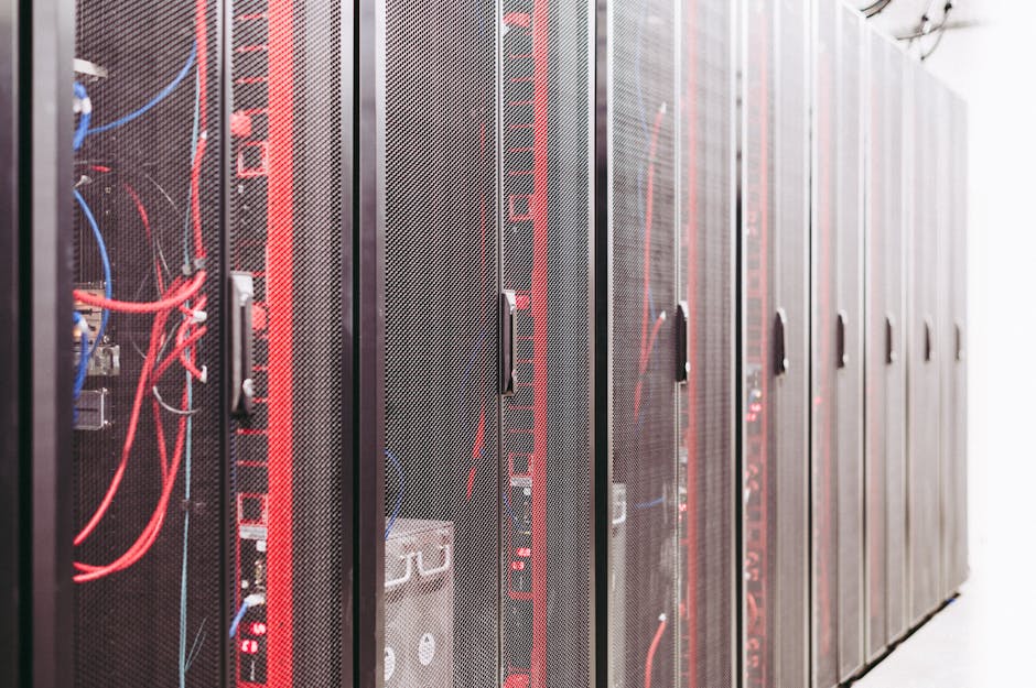Hosting, dominio y SSL: la base técnica de tu web explicada sin tecnicismos